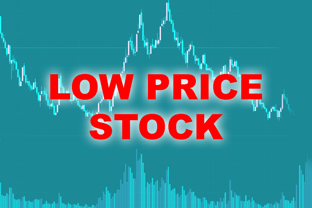 सरकार बन्ने तयारीमा रहँदा शेयर बजार पनि उत्साहित, यी हुन् तीन सय मूल्य मुनिका २३ सस्ता कम्पनी